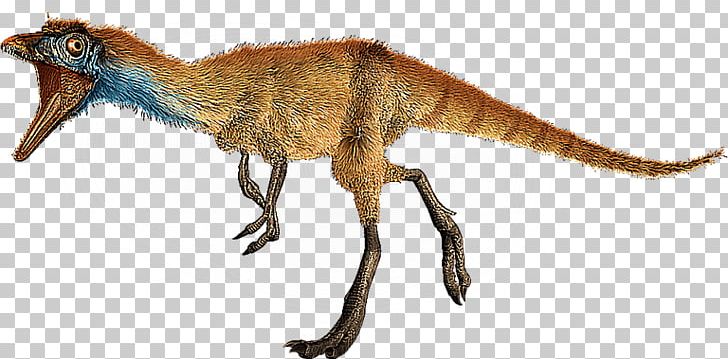 Compsognathus Megaraptor Microraptor Saltopus Spinosaurus PNG, Clipart, Animal Figure, Bipedalism, Brachiosaurus, Compsognathus, Corythosaurus Free PNG Download