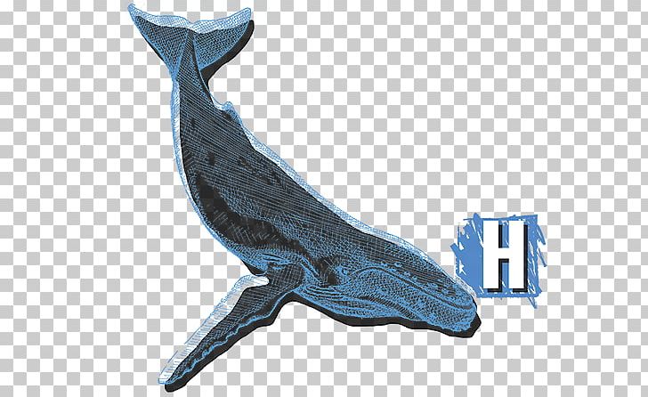 Dolphin Wildlife PNG, Clipart, Animal, Animal Figure, Dolphin, Fauna, Humpback Whale Free PNG Download