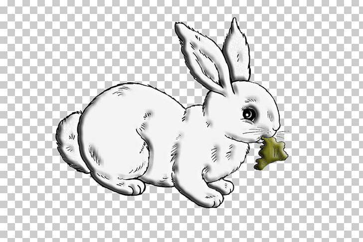 Domestic Rabbit White Rabbit Hare European Rabbit PNG, Clipart, Animals, Animation, Artwork, Balloon Cartoon, Black And White Free PNG Download