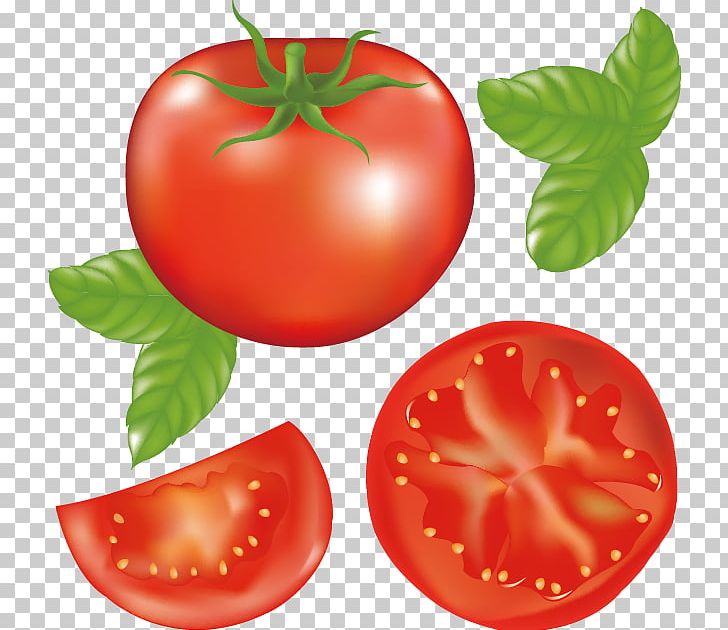 Tomato Juice Hamburger PNG, Clipart, Bush Tomato, Encapsulated Postscript, Food, Fruit, Local Food Free PNG Download
