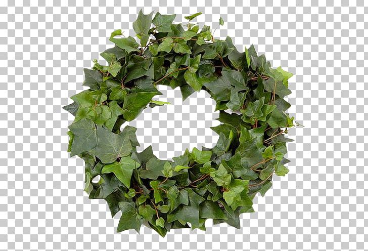 Leaf Wreath PNG, Clipart, Blog, Crown, Download, Encapsulated Postscript, Garland Free PNG Download