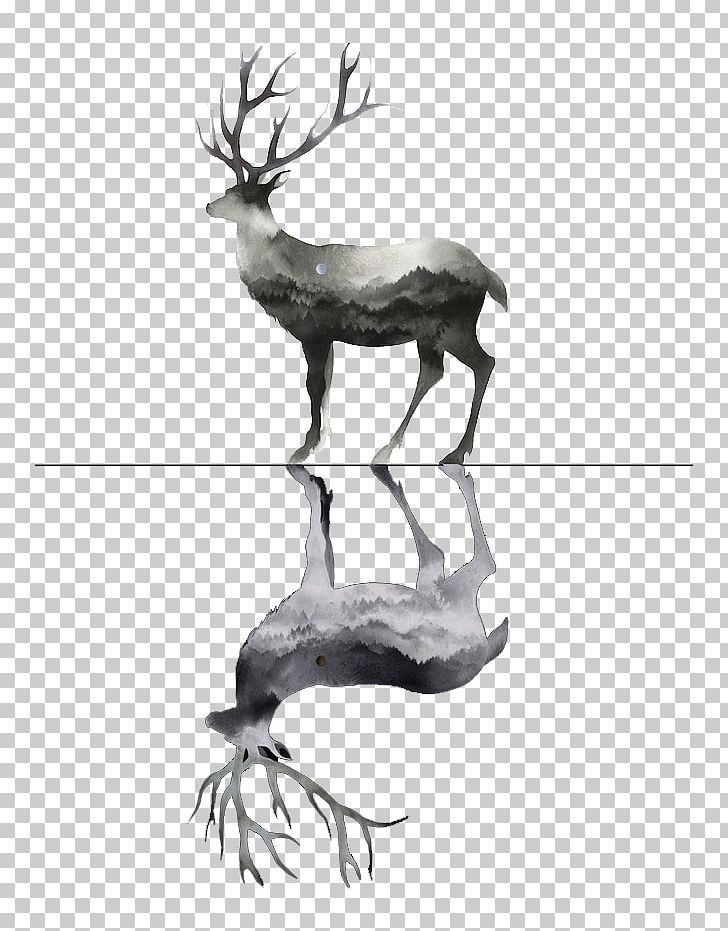 Deer Watercolor Painting Drawing PNG, Clipart, Animals, Antler, Black And White, Christmas Deer, Color Free PNG Download