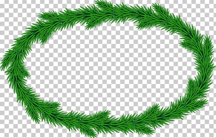 Garland Christmas Ornament PNG, Clipart, Branch, Christmas Decoration, Christmas Ornament, Christmas Tree, Conifer Free PNG Download