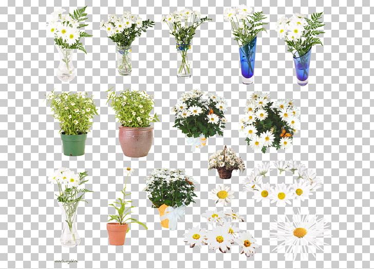 German Chamomile Flower PNG, Clipart, Advertising, Artificial Flower, Blume, Camomile, Cut Flowers Free PNG Download