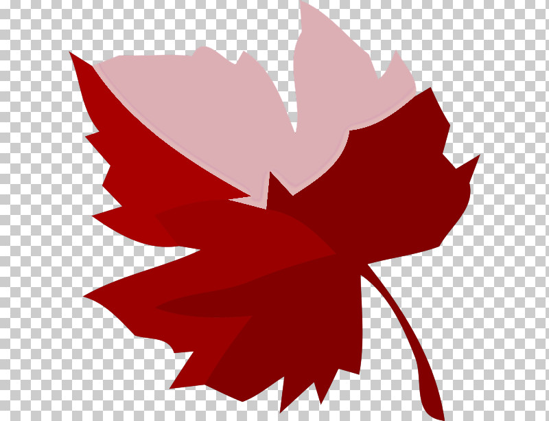 Rose PNG, Clipart, Biology, Flower, Leaf, Maple Leaf M, Petal Free PNG Download