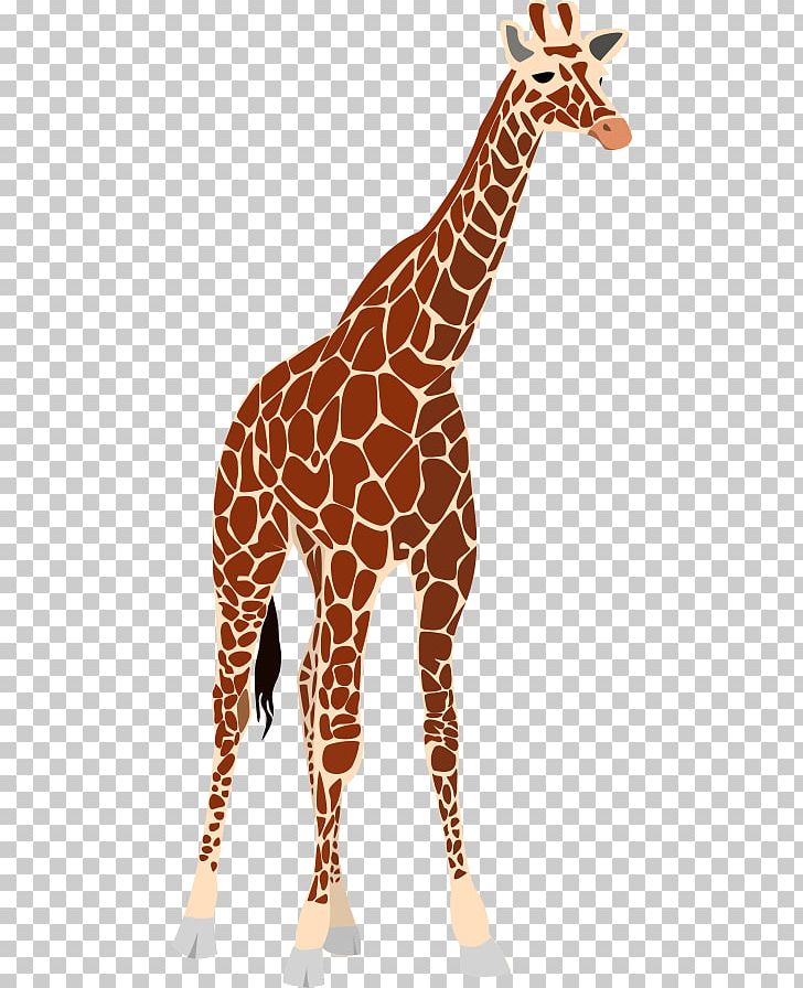 Giraffe Okapi Lion PNG, Clipart, Elephant, Euclidean Vector, Fauna, Free Content, Giraffe Free PNG Download
