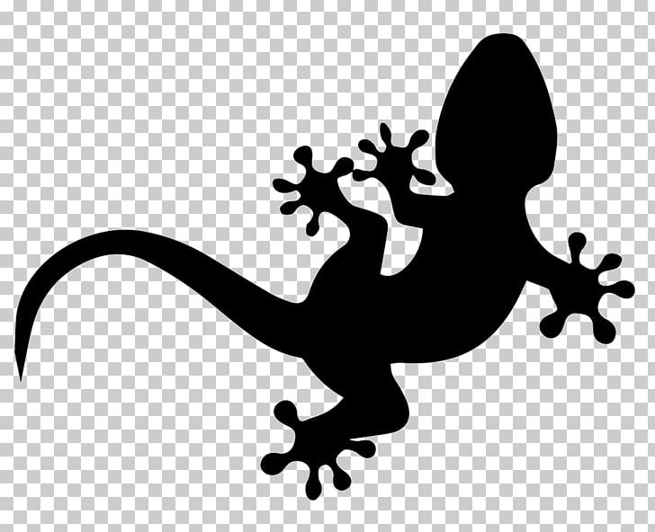 Lizard Common Iguanas Gecko Reptile PNG, Clipart, Amphibian, Animals, Background, Black And White, Common Free PNG Download