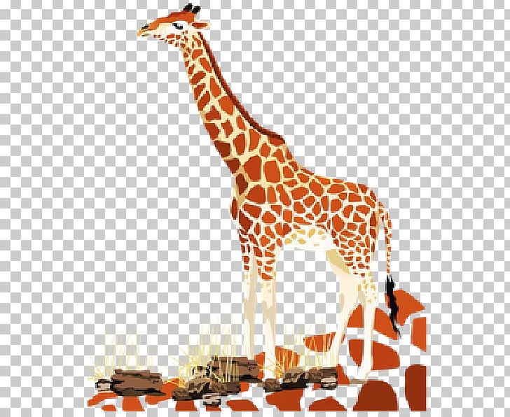 Northern Giraffe Baby Giraffes Animal Stock Photography PNG, Clipart, Animal, Animal Figure, Art, Baby Giraffes, Drawing Free PNG Download
