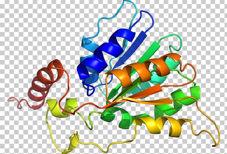RHOQ Gene CDC42EP2 Protein Microphthalmia-associated Transcription Factor PNG, Clipart, Artwork, Cdc42, Cell, Ensembl, Gene Free PNG Download