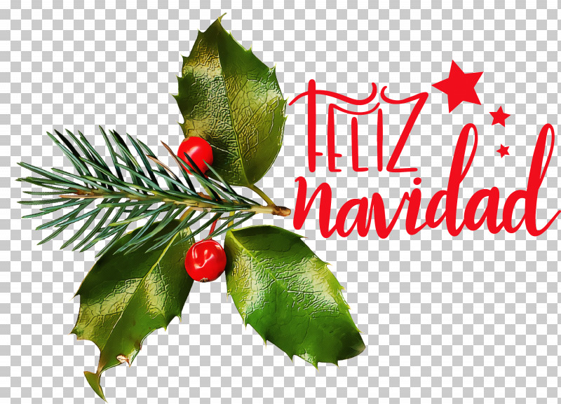 Feliz Navidad Merry Christmas PNG, Clipart, Aquifoliaceae, Aquifoliales, Branch, Christmas Day, Common Holly Free PNG Download
