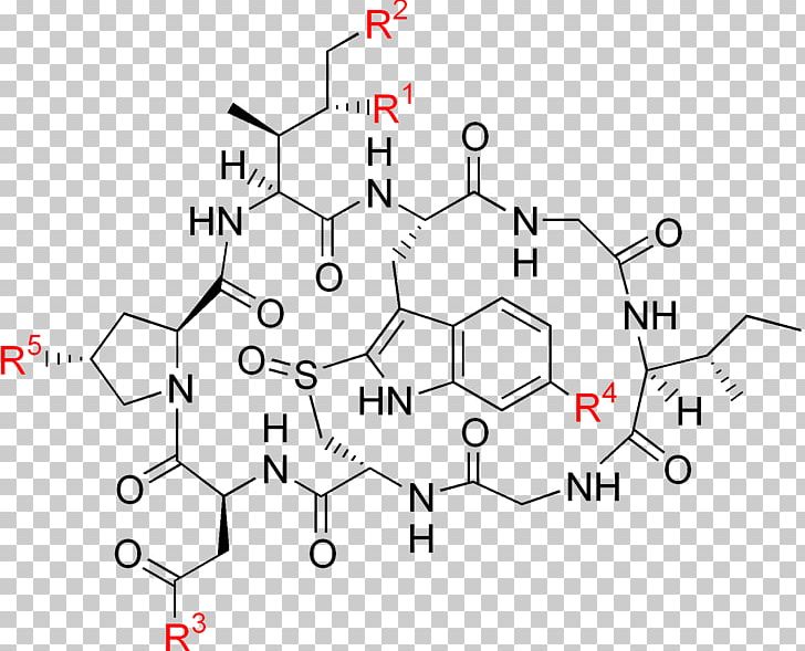 Death Cap Amatoxin Alpha-Amanitin Poison RNA Polymerase II PNG, Clipart, Alphaamanitin, Amanita, Amatoxin, Angle, Area Free PNG Download