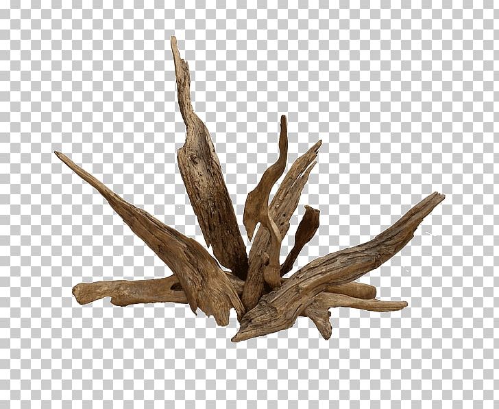 Driftwood PNG, Clipart, Branch, Driftwood, Others, Root, Twig Free PNG Download