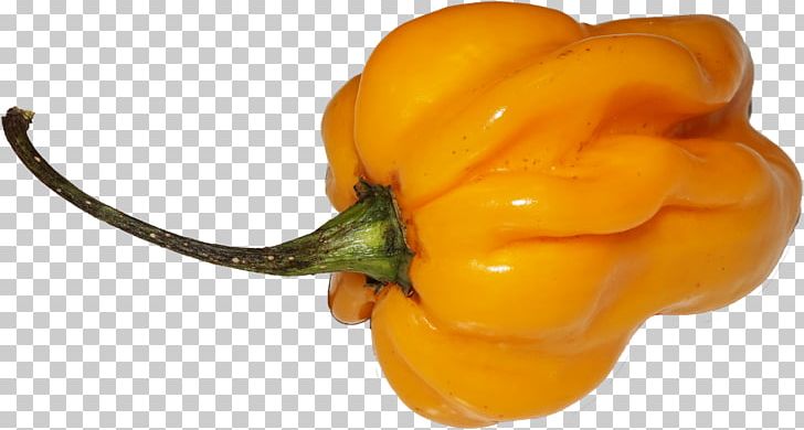 Habanero Chili Pepper Yellow Pepper Bell Pepper Paprika PNG, Clipart, Bell Pepper, Bell Peppers And Chili Peppers, Capsicum, Chili, Chili Pepper Free PNG Download