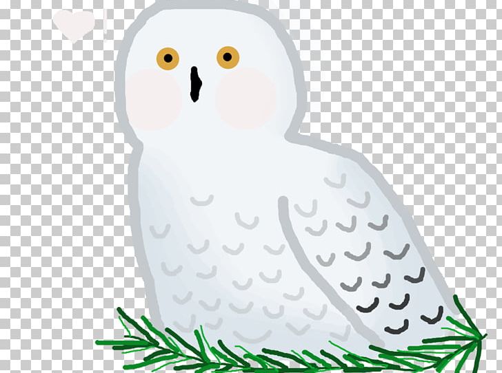 Owl Beak Bird PNG, Clipart, Animals, Beak, Bird, Bird Of Prey, Character Free PNG Download