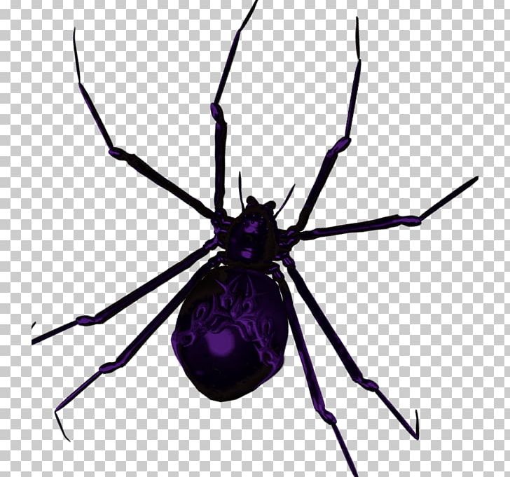 Widow Spiders STX G.1800E.J.M.V.U.NR YN Angie PNG, Clipart, Angie, Animated Film, Arachnid, Arthropod, Fly Free PNG Download