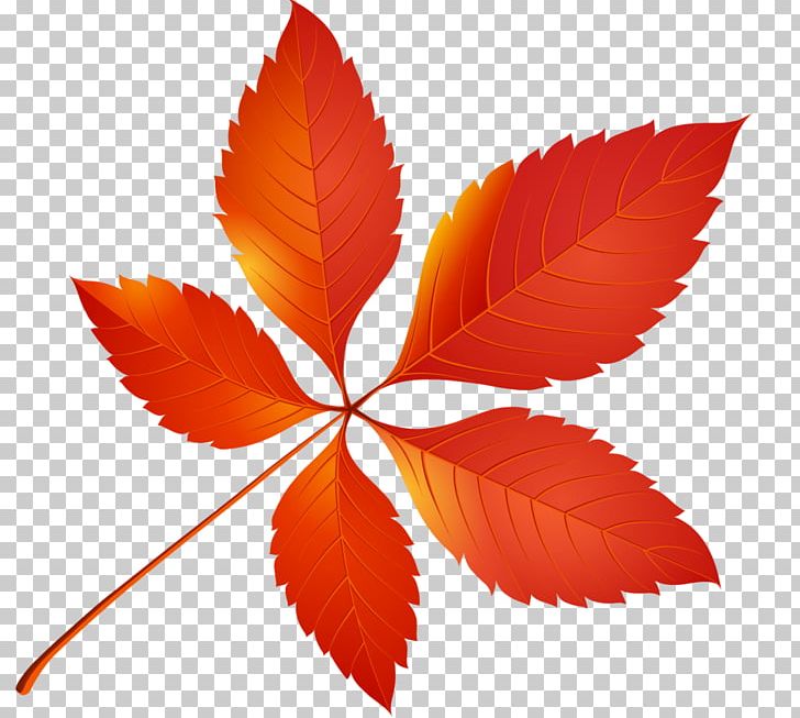 Autumn Leaf Color PNG, Clipart, Art, Autumn, Autumn Leaf Color, Botanical Illustration, Flower Free PNG Download