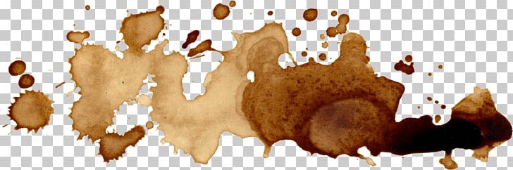 coffee stain transparent