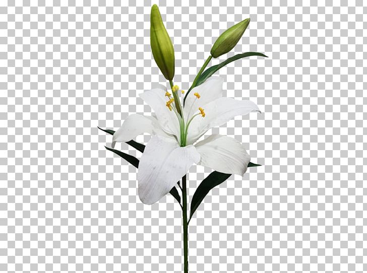 Cut Flowers Artificial Flower Lilium Candidum Garland PNG, Clipart, Artificial Flower, Branch, Bud, Cut Flowers, Flora Free PNG Download