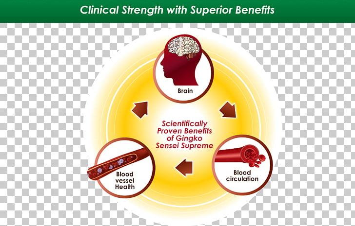 Ginkgo Biloba Circulatory System Blood Health Nutrient PNG, Clipart, Blood, Blood Pressure, Blood Vessel, Brand, Circulatory System Free PNG Download