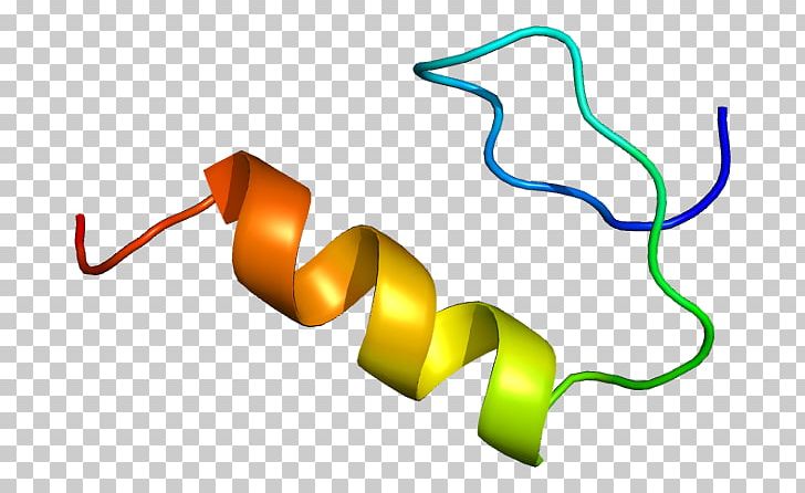 Sp1 Transcription Factor Protein Gene PNG, Clipart, Angle, Biology, Dna, Factor, Gata Transcription Factor Free PNG Download