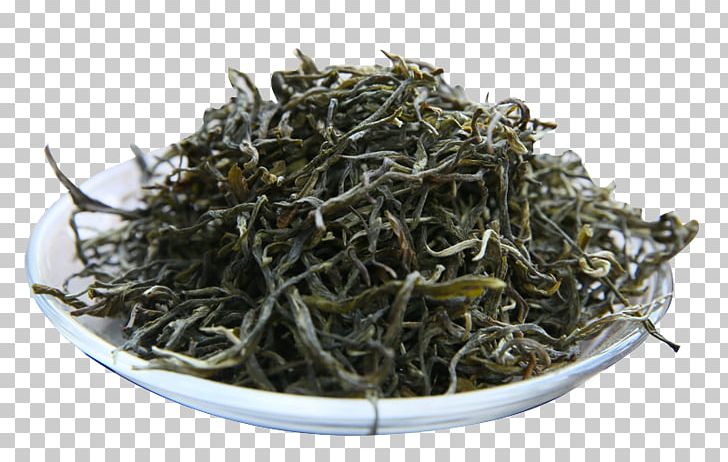Xinyang Maojian Tea Dianhong Nilgiri Tea Golden Monkey Tea PNG, Clipart, Chun Mee, Da Hong Pao, Darjeeling Tea, Dark, Dishes Free PNG Download
