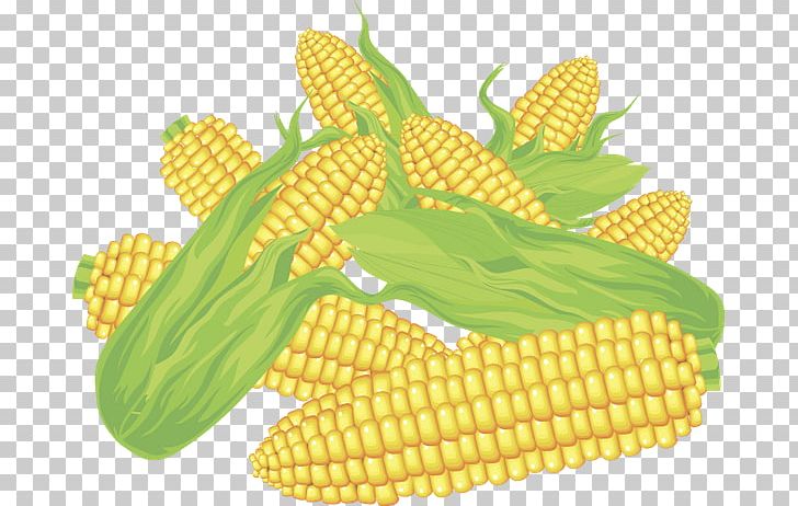 Corn On The Cob Maize Sweet Corn PNG, Clipart, Art, Cereal, Crop, Cuisine, Ear Free PNG Download