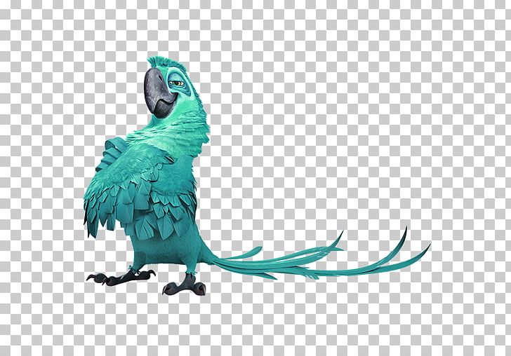 Blu Rio Wikia Icon PNG, Clipart, Animals, Animation, Background Green, Beak, Bird Free PNG Download