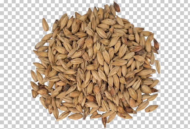 Oat Beer Grist Melanoidin Malt PNG, Clipart, 500 X, Avena, Beer, Beer Brewing Grains Malts, Cereal Free PNG Download