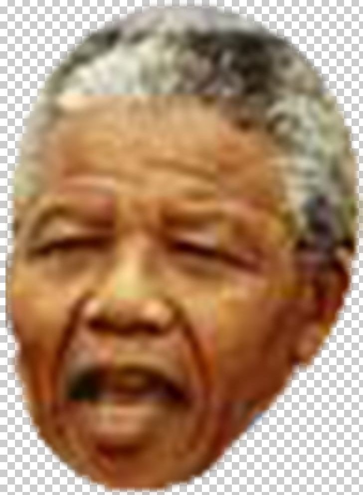 Mandela House Nelson Mandela Apartheid Revolutionary President Of South Africa PNG, Clipart, Apartheid, Cheek, Chin, Desmond Tutu, Elder Free PNG Download