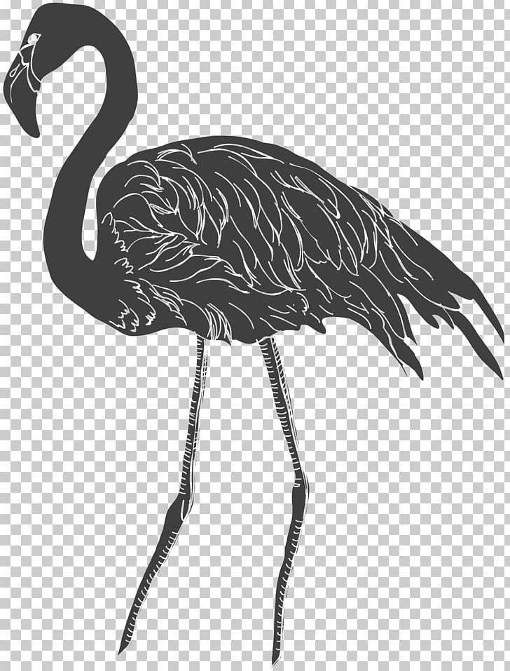 Red-crowned Crane Bird Black And White PNG, Clipart, Abstract Pattern, Animal, Background Black, Beak, Black Free PNG Download