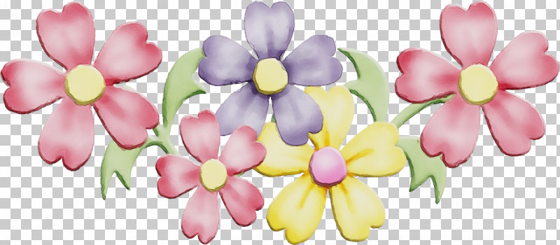 Petal Flower Pink Plant Cut Flowers PNG, Clipart, Cut Flowers, Flower, Frangipani, Paint, Petal Free PNG Download
