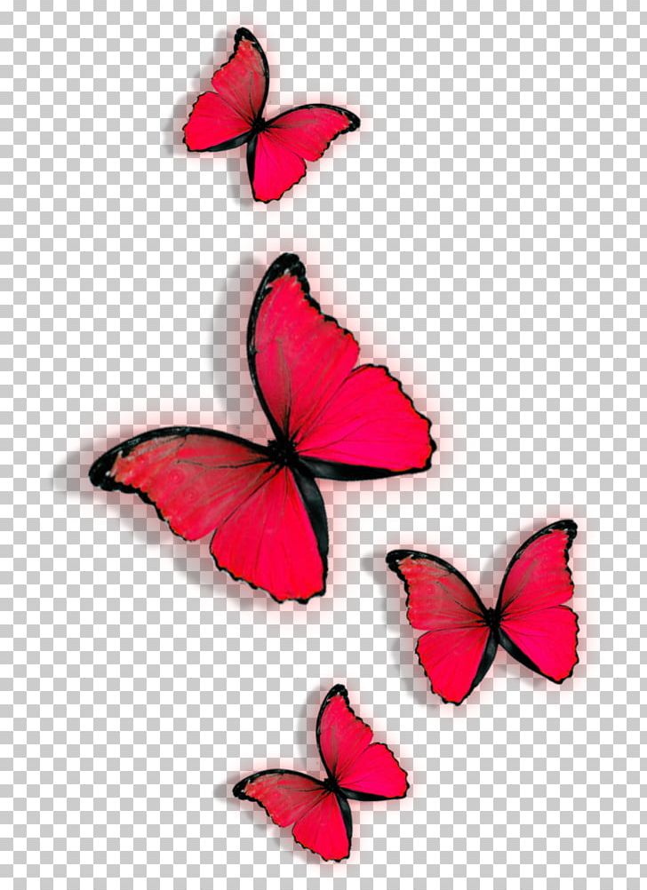 Butterfly Red PNG, Clipart, Brush Footed Butterfly, Butterfly, Cli, Color, Designer Free PNG Download