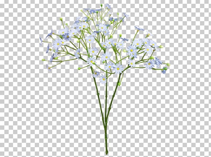 Cut Flowers Baby's-breath Blue Flower Bouquet PNG, Clipart, Babysbreath, Blue, Blue Flower, Branch, Common Daisy Free PNG Download