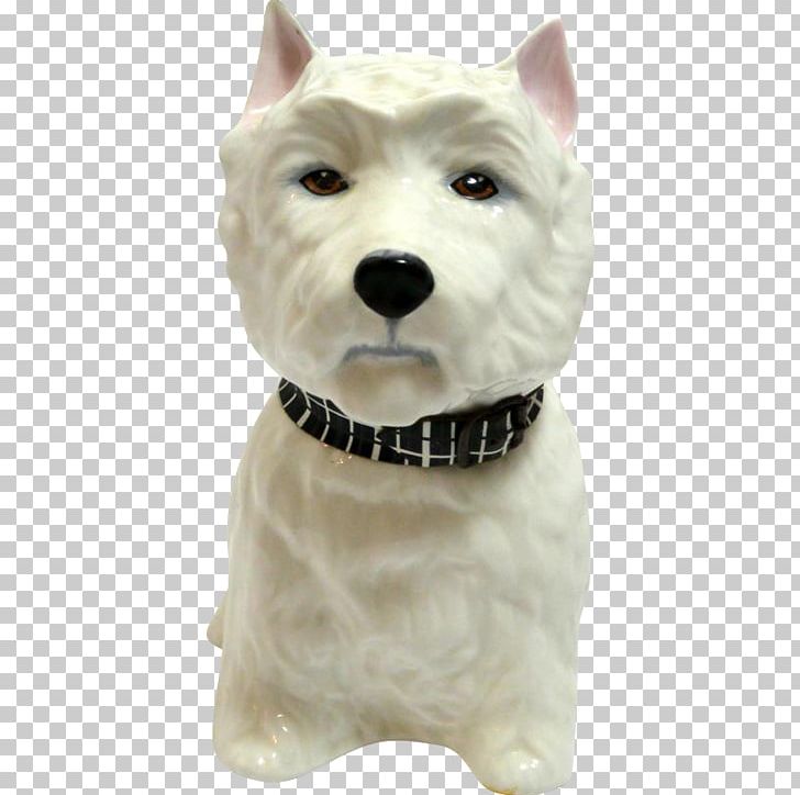 West Highland White Terrier Dog Breed Companion Dog Snout PNG, Clipart, Breed, Carnivoran, Companion Dog, Dog, Dog Breed Free PNG Download