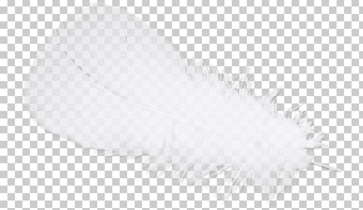 Feather White Black PNG, Clipart, Angel, Animals, Black, Black And White, Feather Free PNG Download