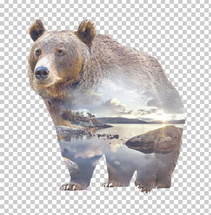 Grizzly Bear Polar Bear Gray Wolf PNG, Clipart, American Black Bear, Animal, Animals, Art, Bear Free PNG Download