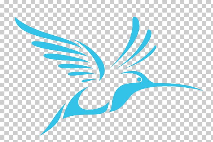 Hummingbird Sport Women's Lacrosse Lacrosse Helmet PNG, Clipart,  Free PNG Download