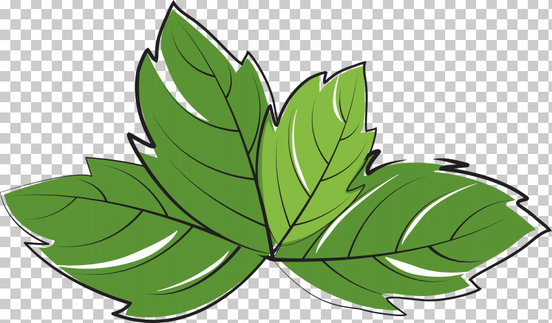 Leaf Plant Stem Flower Green M-tree PNG, Clipart, Biology, Flower, Green, Leaf, Mtree Free PNG Download