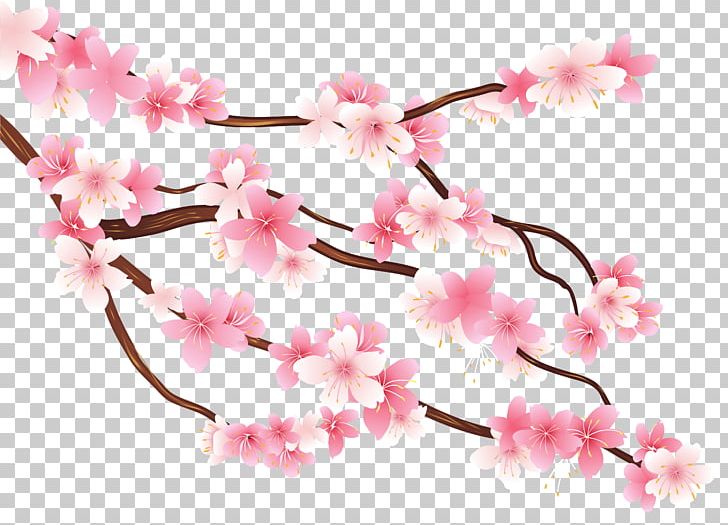 Branch Cherry Blossom PNG, Clipart, Blossom, Branch, Cherry Blossom, Computer Icons, Desktop Wallpaper Free PNG Download