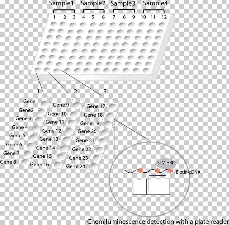 Brand Line Point Angle PNG, Clipart, Angle, Area, Art, Brand, Line Free PNG Download