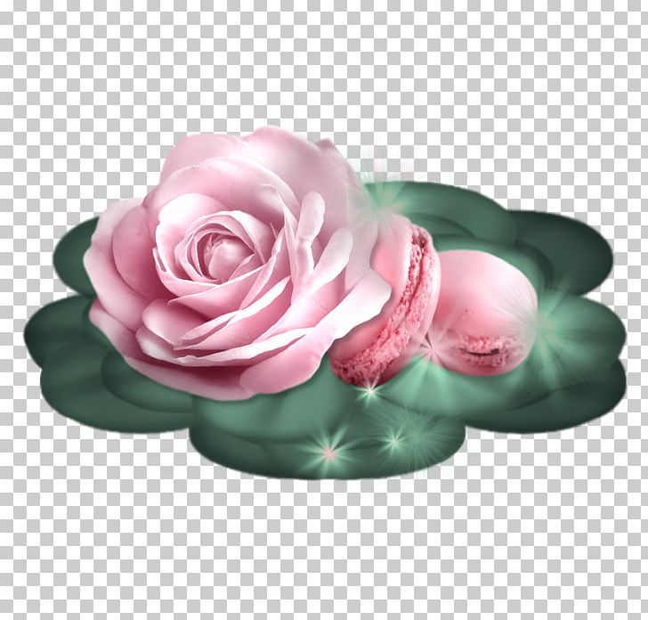 Garden Roses Cut Flowers Petal PNG, Clipart, Cut Flowers, Garden Roses, Petal Free PNG Download