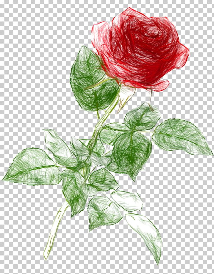 Rose Drawing PNG, Clipart, Art, Color, Colored Pencil, Cut Flowers, Drawing Free PNG Download