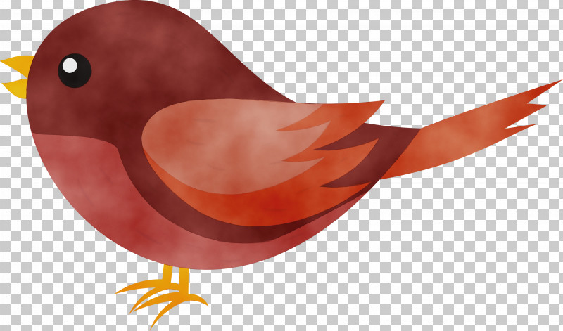 Orange PNG, Clipart, Beak, Bird, Cardinal, European Robin, Orange Free PNG Download