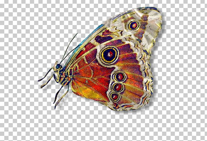 Butterfly Abstract Art Moth Abstract Photography PNG, Clipart, Abstract, Abstract Art, Abstract Photography, Art, Blanket Free PNG Download