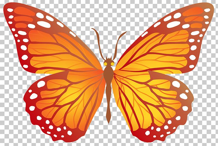 Butterfly PNG, Clipart, Arthropod, Autocad Dxf, Brush Footed Butterfly, Butterflies, Butterfly Free PNG Download
