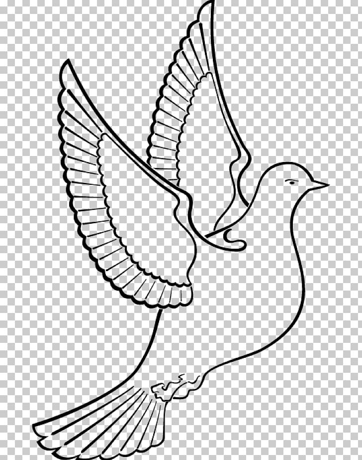 Columbidae Drawing PNG, Clipart, Angle, Area, Artwork, Beak, Bird Free PNG Download