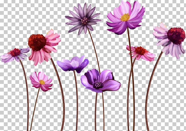 Flower Desktop Display Resolution PNG, Clipart, Camomile, Color, Common Daisy, Computer Icons, Cut Flowers Free PNG Download