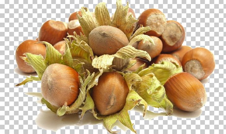 Hazelnut Nuts Walnut Food PNG, Clipart, Almond, Chestnut, Cultivar, Fruit, Fruit Nut Free PNG Download