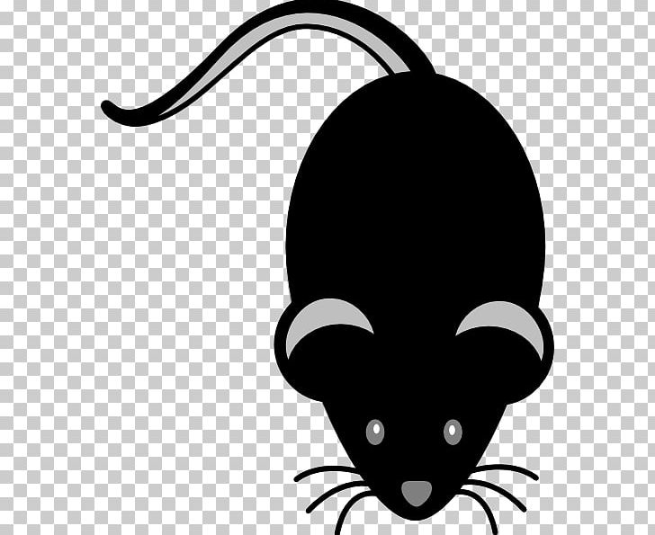 Computer Mouse PNG, Clipart, Animals, Artwork, Black, Black And White, Black Rat Free PNG Download
