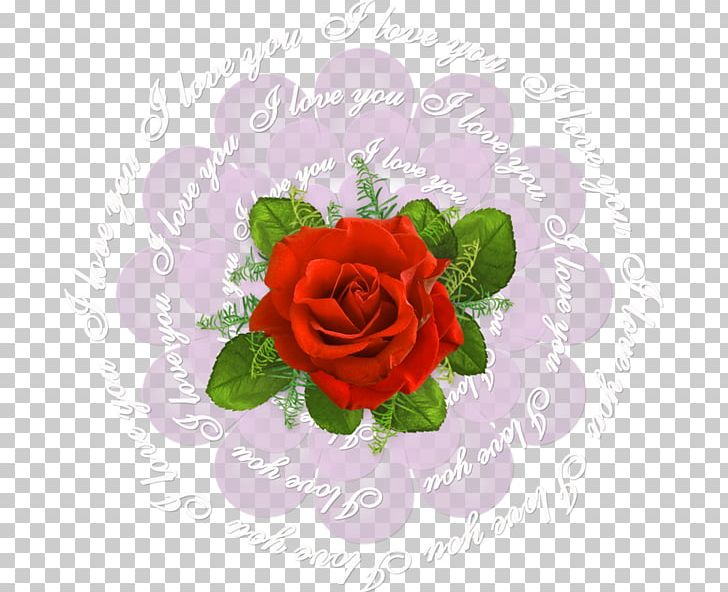 Garden Roses Cabbage Rose Cut Flowers Beach Rose PNG, Clipart, Beach Rose, Computer Icons, Cut Flowers, English, English Rose Free PNG Download
